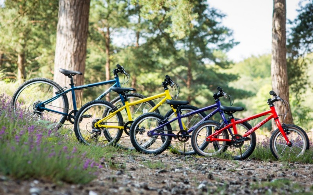 5 головних відмінностей між гірськими та шосейними велосипедами: що обрати?