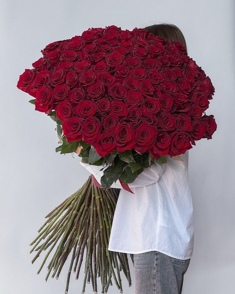 Троянди: все про королеву квітів — від вибору сорту до догляду і особливостей оптових закупівель